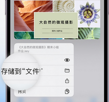 日喀则apple维修中心分享iPhone文件应用中存储和找到下载文件