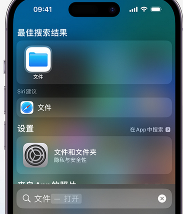 日喀则apple维修中心分享iPhone文件应用中存储和找到下载文件