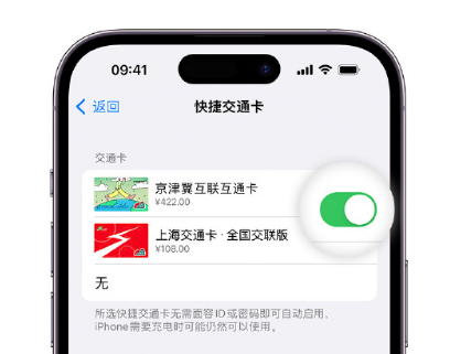 日喀则apple维修点分享iPhone上更换Apple Pay快捷交通卡手绘卡面 