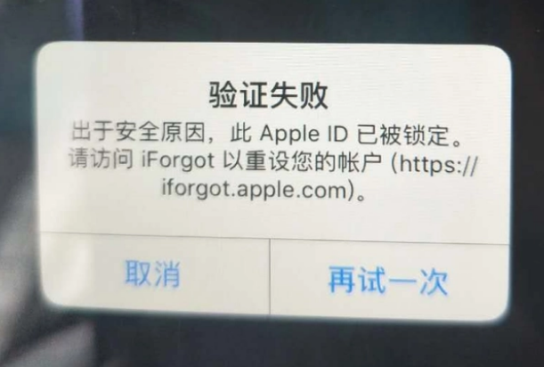 日喀则iPhone维修分享iPhone上正常登录或使用AppleID怎么办 