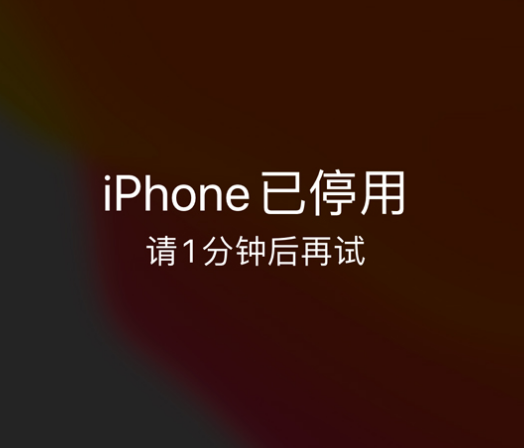 日喀则苹果手机维修分享:iPhone 显示“不可用”或“已停用”怎么办？还能保留数据吗？ 