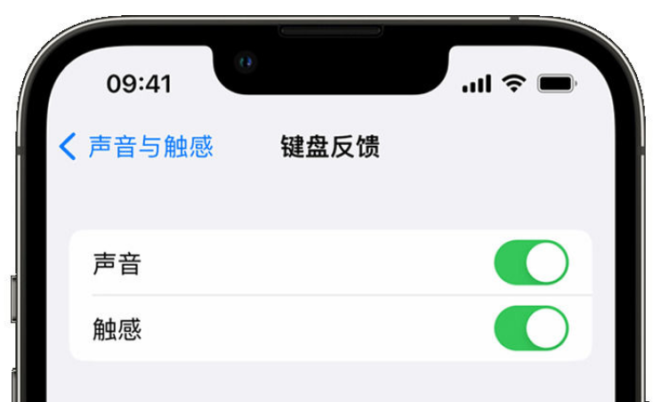 日喀则苹果手机维修分享iPhone 14触感键盘使用方法 