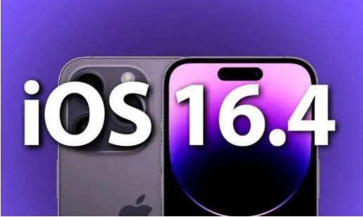 日喀则苹果14维修分享：iPhone14可以升级iOS16.4beta2吗？ 