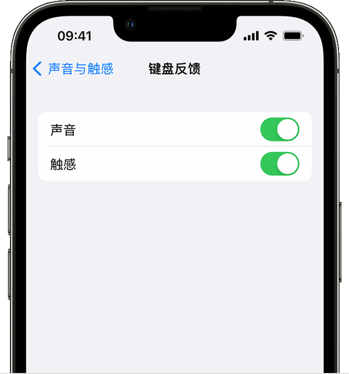 日喀则苹果14维修店分享如何在 iPhone 14 机型中使用触感键盘 