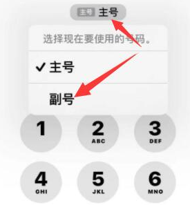 日喀则苹果14维修店分享iPhone 14 Pro Max使用副卡打电话的方法 