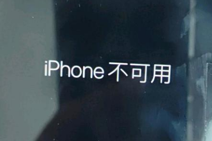 日喀则苹果服务网点分享锁屏界面显示“iPhone 不可用”如何解决 