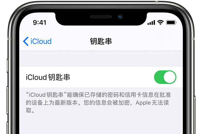 日喀则苹果手机维修分享在 iPhone 上开启 iCloud 钥匙串之后会储存哪些信息 