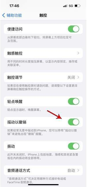 日喀则苹果手机维修分享iPhone手机如何设置摇一摇删除文字 