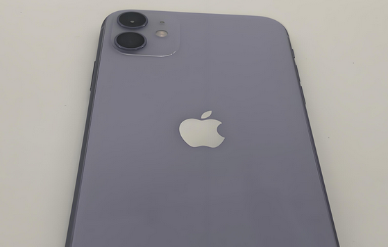 日喀则苹果11系统维修分享iPhone11手机系统崩溃无法开机如何解决